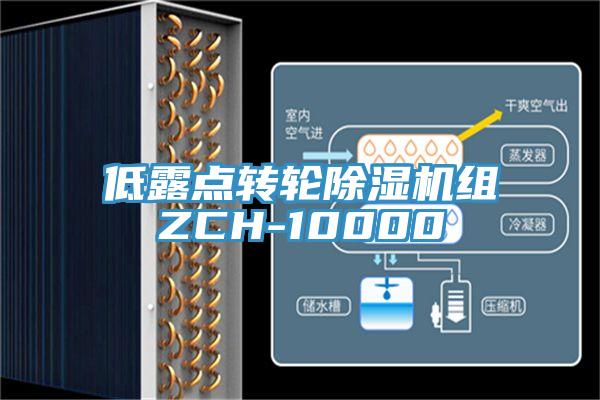 低露点转轮猫咪成人官网组ZCH-10000