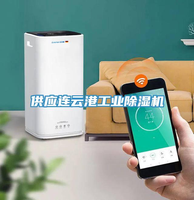 供应连云港工业猫咪成人官网