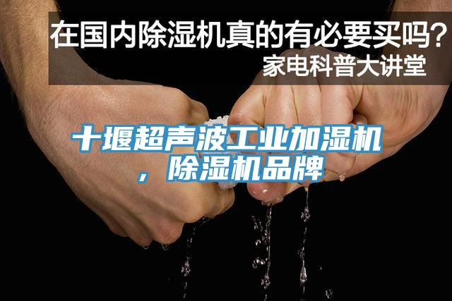 十堰超声波工业加湿机，猫咪成人官网品牌