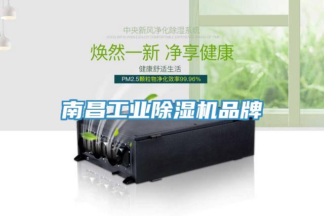 南昌工业猫咪成人官网品牌