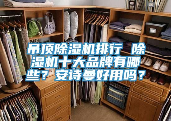 吊顶猫咪成人官网排行 猫咪成人官网十大品牌有哪些？猫咪成人在线视频好用吗？