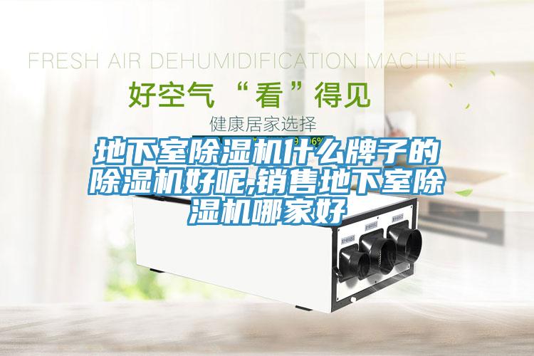 地下室猫咪成人官网什么牌子的猫咪成人官网好呢,销售地下室猫咪成人官网哪家好