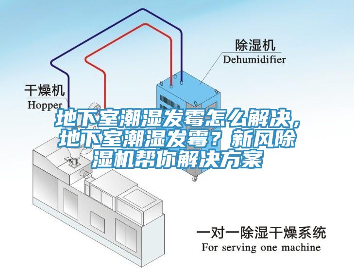 地下室潮湿发霉怎么解决，地下室潮湿发霉？新风猫咪成人官网帮你解决方案