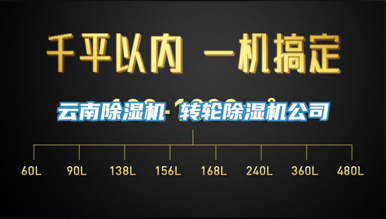 云南猫咪成人官网 转轮猫咪成人官网公司