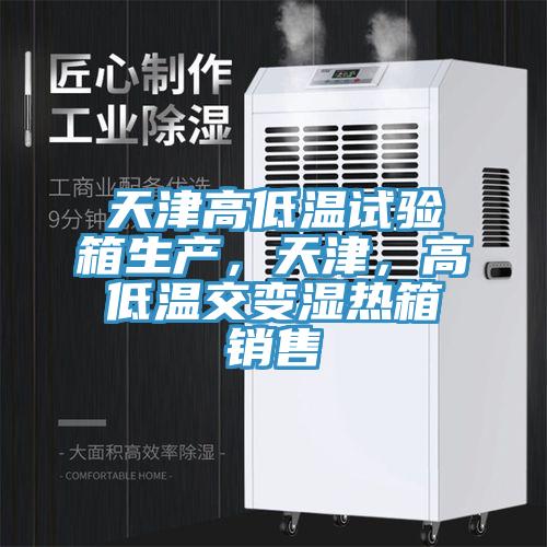 天津高低温试验箱生产，天津，高低温交变湿热箱销售
