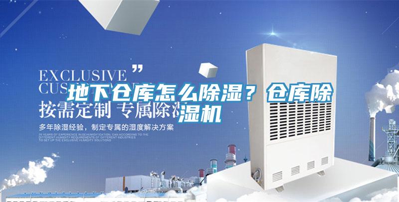 地下仓库怎么除湿？仓库猫咪成人官网