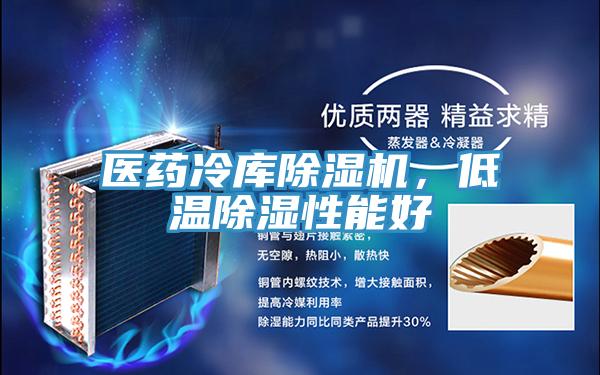 医药冷库猫咪成人官网，低温除湿性能好