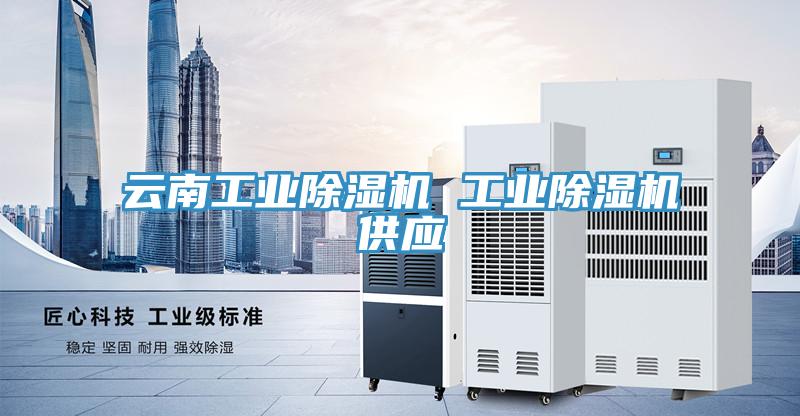 云南工业猫咪成人官网 工业猫咪成人官网供应