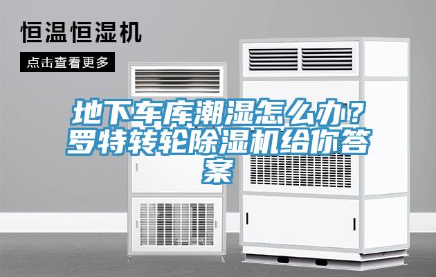 地下车库潮湿怎么办？罗特转轮猫咪成人官网给你答案