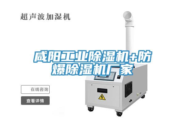 咸阳工业猫咪成人官网+防爆猫咪成人官网厂家