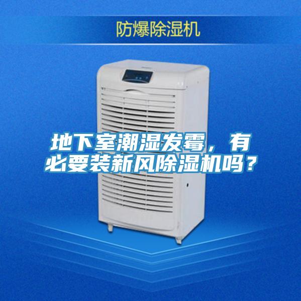 地下室潮湿发霉，有必要装新风猫咪成人官网吗？