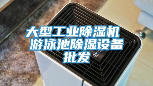 大型工业猫咪成人官网 游泳池除湿设备批发