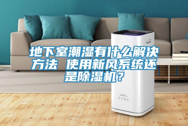 地下室潮湿有什么解决方法 使用新风系统还是猫咪成人官网？