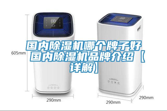 国内猫咪成人官网哪个牌子好 国内猫咪成人官网品牌介绍【详解】