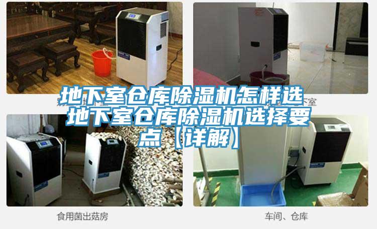 地下室仓库猫咪成人官网怎样选 地下室仓库猫咪成人官网选择要点【详解】