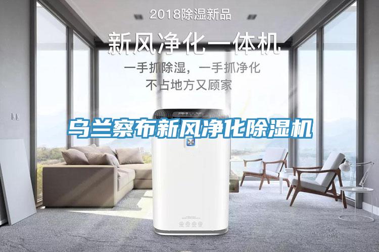 乌兰察布新风净化猫咪成人官网