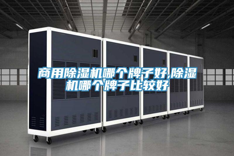 商用猫咪成人官网哪个牌子好,猫咪成人官网哪个牌子比较好