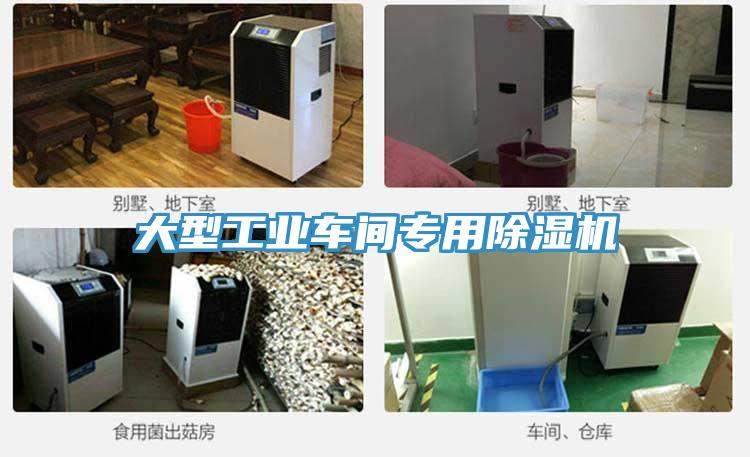 大型工业车间专用猫咪成人官网