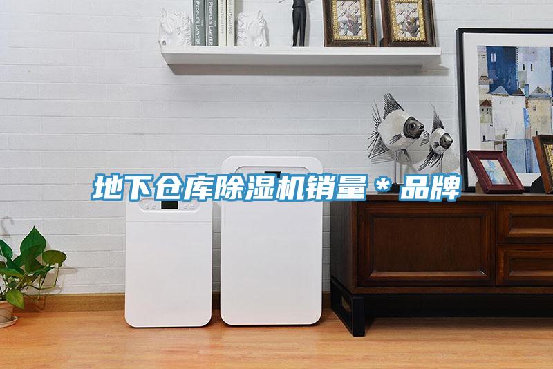 地下仓库猫咪成人官网销量＊品牌