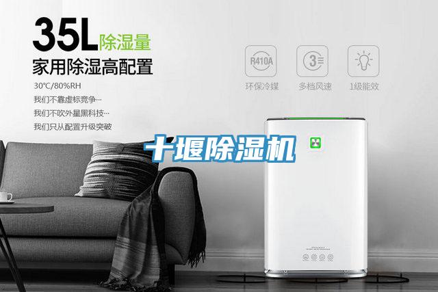 十堰猫咪成人官网
