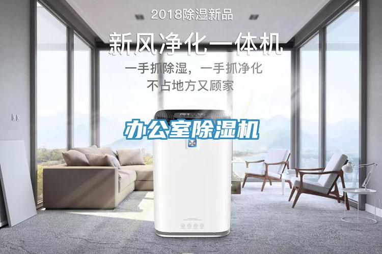 办公室猫咪成人官网