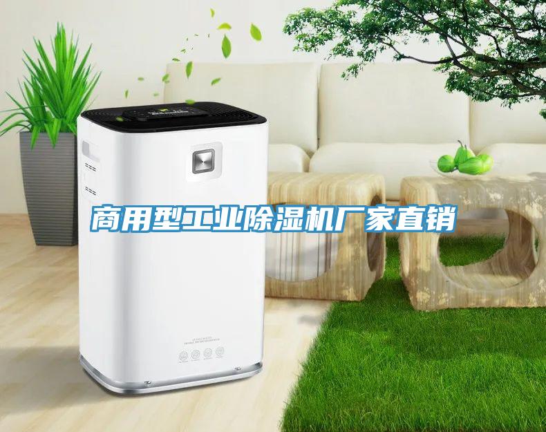 商用型工业猫咪成人官网厂家直销