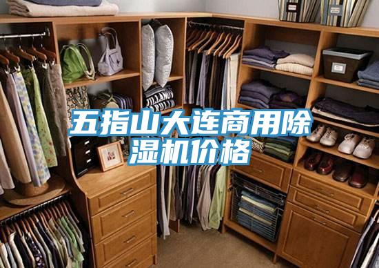 五指山大连商用猫咪成人官网价格