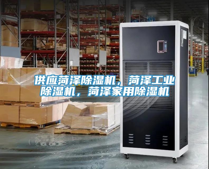 供应菏泽猫咪成人官网，菏泽工业猫咪成人官网，菏泽家用猫咪成人官网