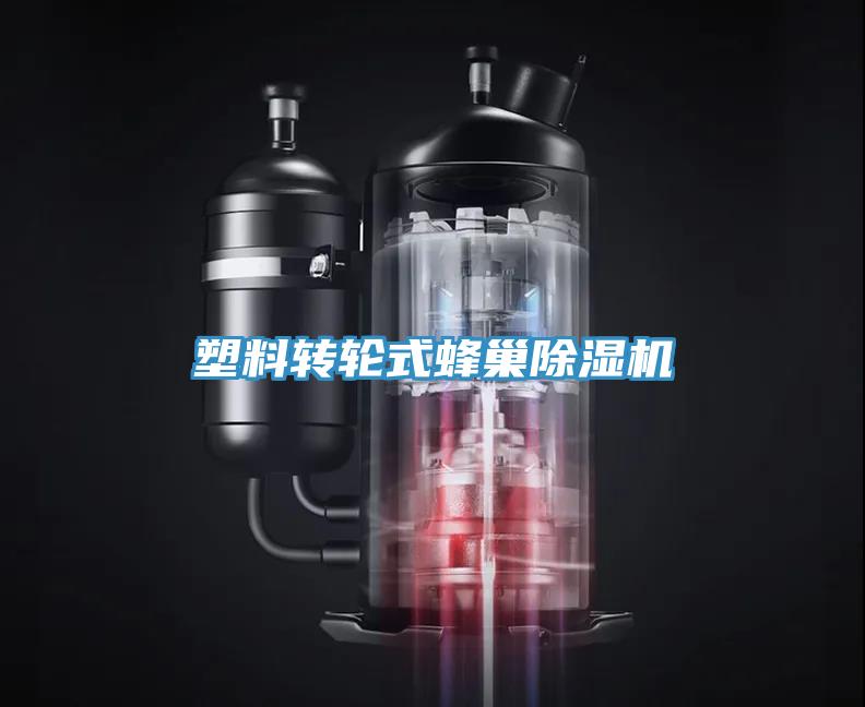塑料转轮式蜂巢猫咪成人官网