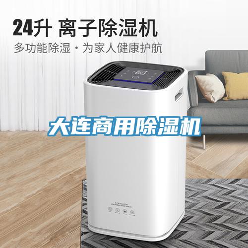 大连商用猫咪成人官网