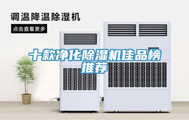 十款净化猫咪成人官网佳品榜推荐