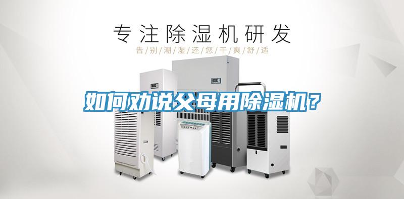 如何劝说父母用猫咪成人官网？