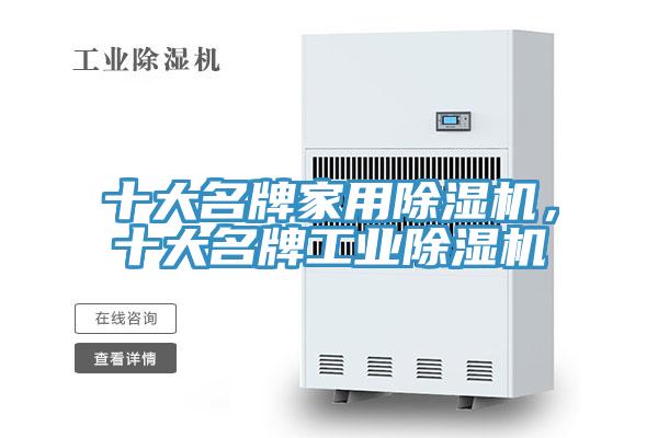 十大名牌家用猫咪成人官网，十大名牌工业猫咪成人官网