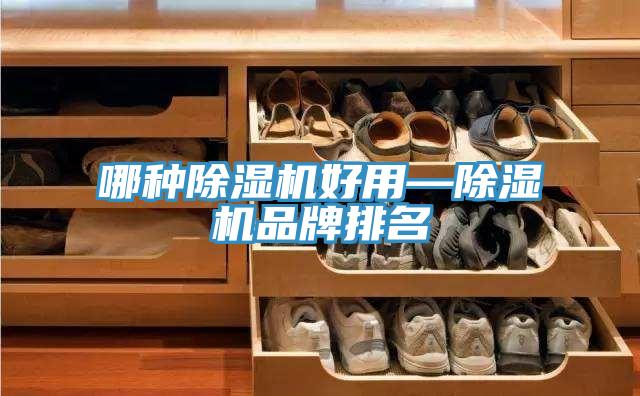 哪种猫咪成人官网好用—猫咪成人官网品牌排名