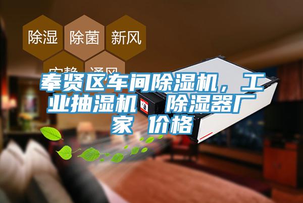 奉贤区车间猫咪成人官网，工业抽湿机  除湿器厂家 价格