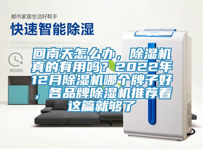 回南天怎么办，猫咪成人官网真的有用吗？2022年12月猫咪成人官网哪个牌子好，各品牌猫咪成人官网推荐看这篇就够了