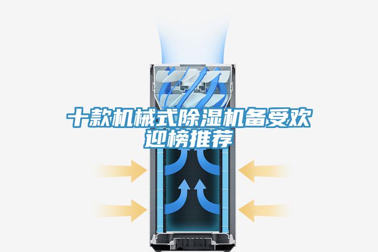 十款机械式猫咪成人官网备受欢迎榜推荐