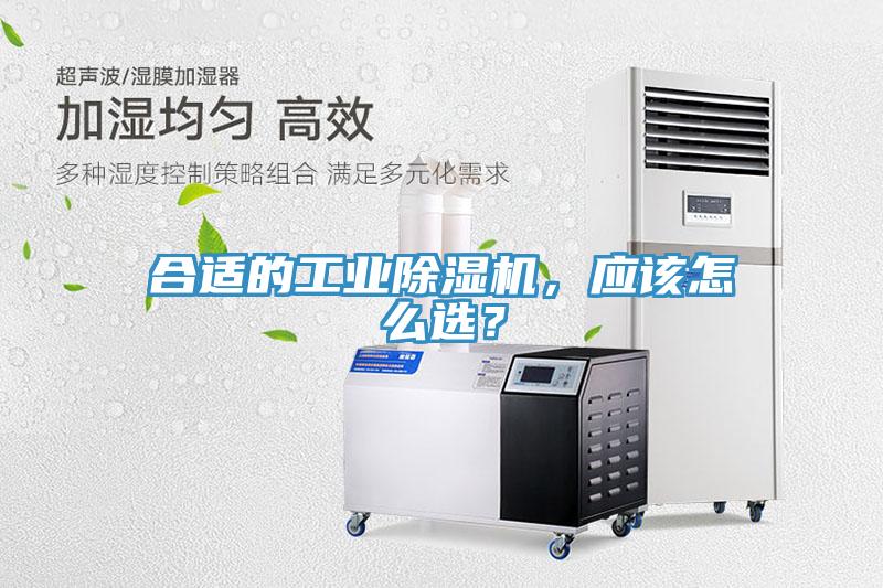 合适的工业猫咪成人官网，应该怎么选？