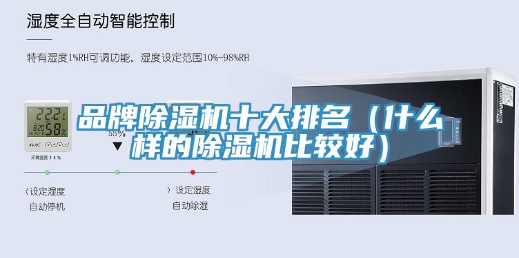 品牌猫咪成人官网十大排名（什么样的猫咪成人官网比较好）