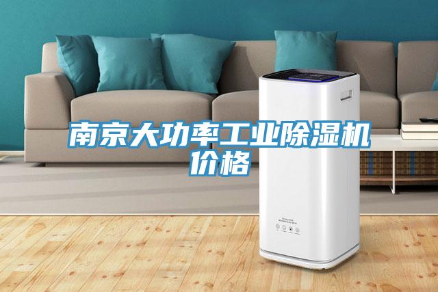 南京大功率工业猫咪成人官网价格