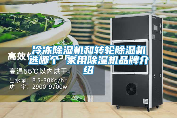 冷冻猫咪成人官网和转轮猫咪成人官网选哪个 家用猫咪成人官网品牌介绍