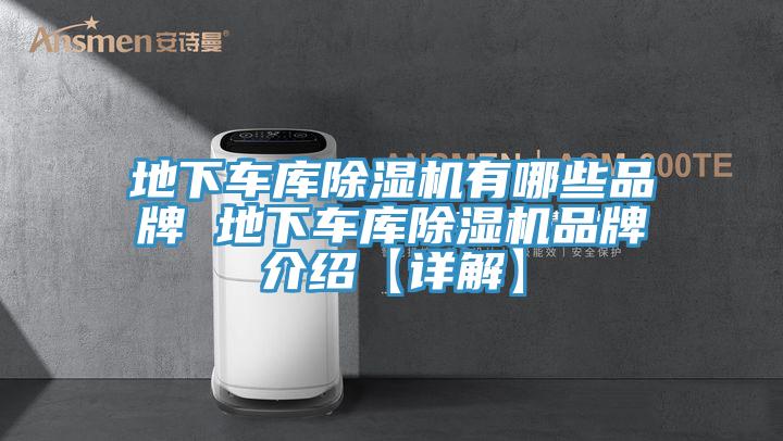 地下车库猫咪成人官网有哪些品牌 地下车库猫咪成人官网品牌介绍【详解】