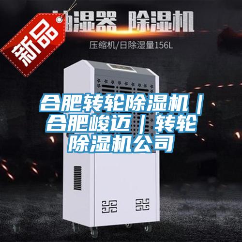 合肥转轮猫咪成人官网｜合肥峻迈｜转轮猫咪成人官网公司