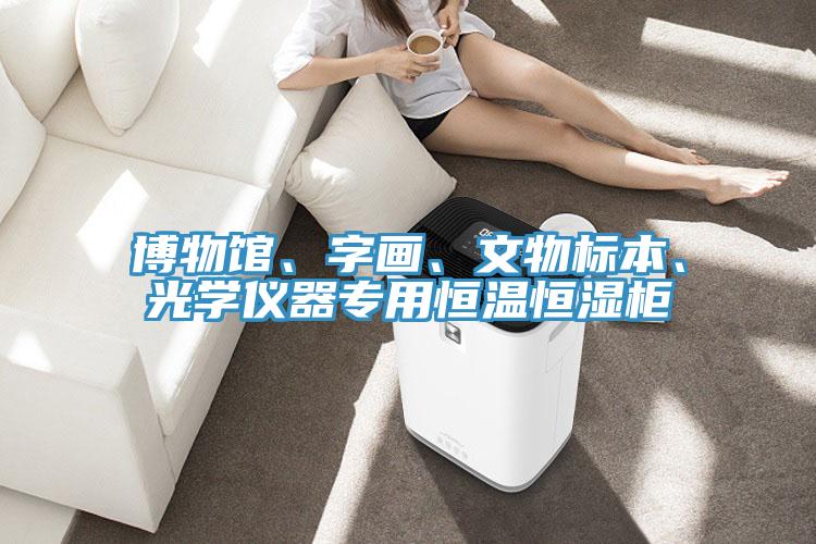 博物馆、字画、文物标本、光学仪器专用恒温恒湿柜