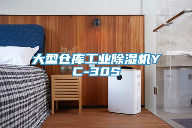 大型仓库工业猫咪成人官网YC-30S