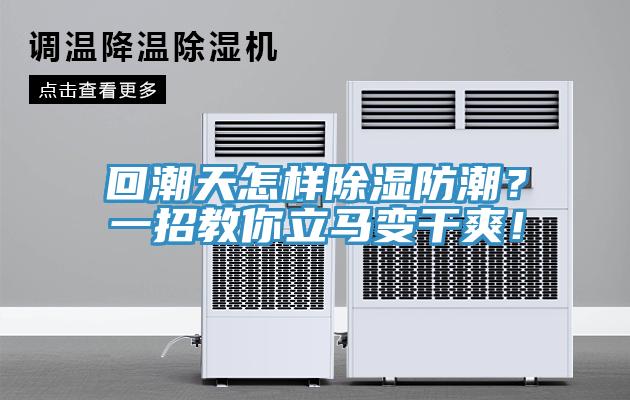 回潮天怎样除湿防潮？一招教你立马变干爽！