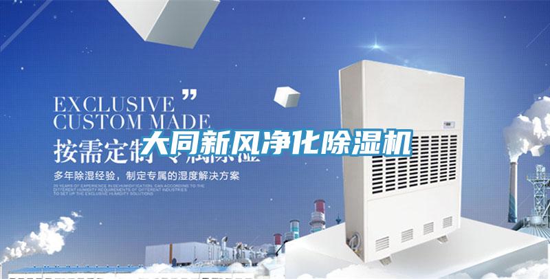 大同新风净化猫咪成人官网