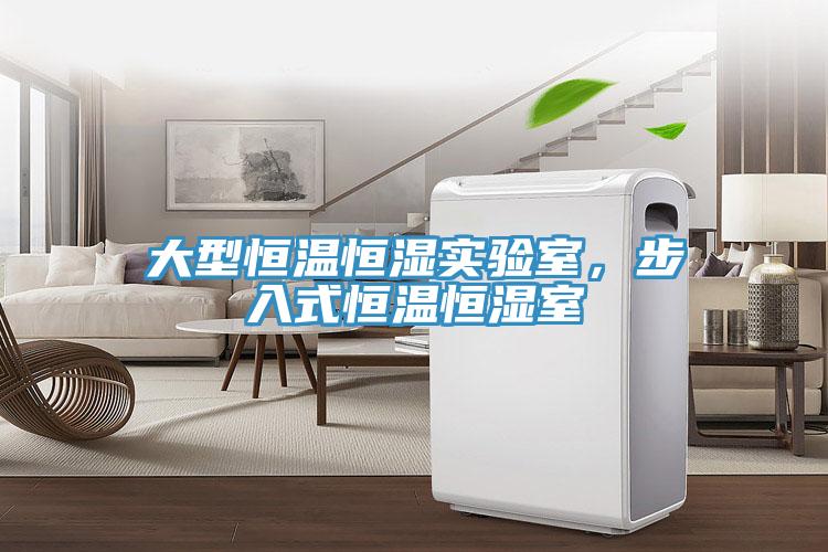 大型恒温恒湿实验室，步入式恒温恒湿室