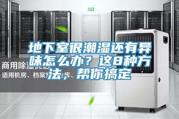 地下室很潮湿还有异味怎么办？这8种方法，帮你搞定