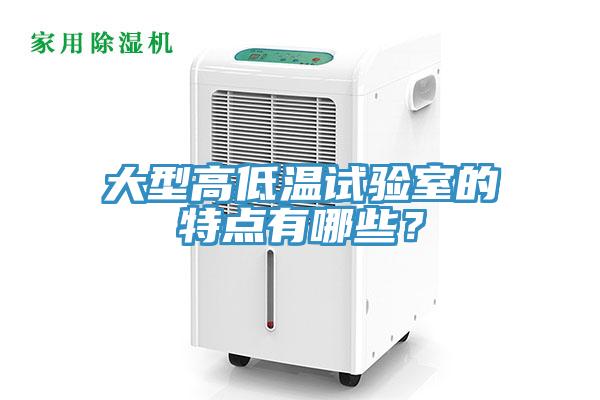 大型高低温试验室的特点有哪些？